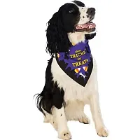 Rubie's Costume Co Tricks For Treats Pet Bandana - M/L