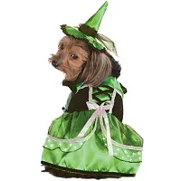Rubie's Costume Co Neon LED Witch Pet Costume - Small