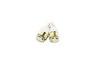 RACESPORT LT T10W5050 T10 194 Led Auto Replacement Bulbs