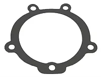 SIERRAMARINE 180320 Reed Block Gasket