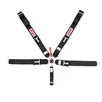SIMPSON RACE 29110BK 5 Way Pull Down Black