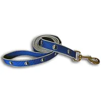 SportyK9 Dallas Mavericks Reflective Pet Leash - M/L