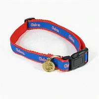 SportyK9 Florida Gators Dog Collar Alternate Style - M/L