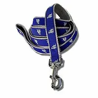 SportyK9 Los Angeles Dodgers Dog Leash - Small