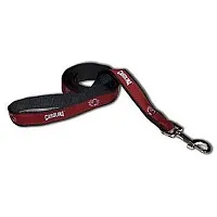 SportyK9 South Carolina Dog Leash Alternate Style - Small