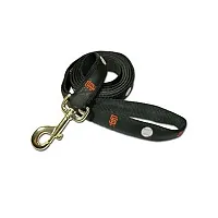 SportyK9 San Francisco Giants Alternate Design Dog Leash - Small