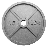 45lb Olympic Style Iron Weight Plate SWGT-506
