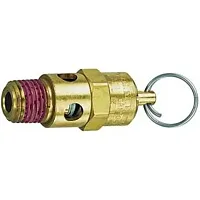 TRUFLATE 21707 Valve Safety 1/4 125 Psi