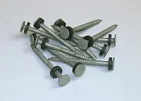 TAYLOR MADE 96028 Galvin. #6 Nail W/Washer 1/8 Lb Pk