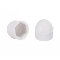THETFORD 42111 Style Ii Bolt Cap Kit- Wh