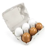 Eggcellent Eggs with Real Carton TEAT-001