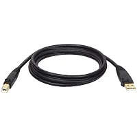 Tripp Lite U022-006 A-Male To B-Male Usb 2.0 Cable (6 Ft)