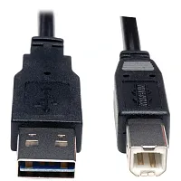 Tripp Lite By Eaton Ur022-006 Usb 2.0 Universal Peripheral Cable, Reversible A M