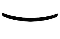 VENTSHADE CO 25918 Bugii Chev Express 96-02