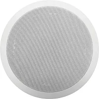 Viking Electronics 40-IP Ip Ceiling Speaker For Sip Endpoint