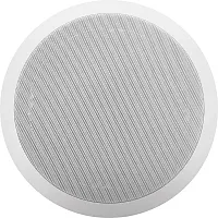 Viking Electronics 40TB-IP Voip Ceiling Speaker With Talkback