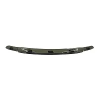 WESTIN 7293102 Smoke Plat Bug Shield