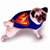 WAG Dogstuff WAG Hero Dog Jacket - Small