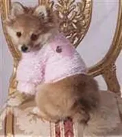 Wagginwear Princess Sweater - Large