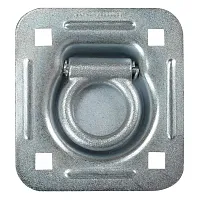 WINSTON PROD 809 Bolt On Recessed Mount D-Ring