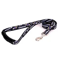 Little Earth Productions Baltimore Ravens EZ Grip Nylon Leash - Large