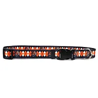Little Earth Productions Cincinnati Bengals Argyle Nylon Collar - Medium