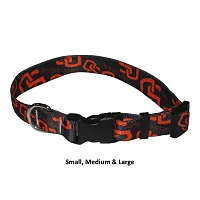 Little Earth Productions Oregon State Beavers Nylon Collar - Medium