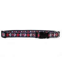 Little Earth Productions Tampa Bay Buccaneers Argyle Nylon Collar - X-Small