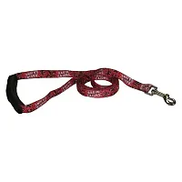 Little Earth Productions Louisiana Ragin&#039; Cajuns EZ Grip Nylon Leash - S/M