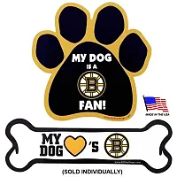 All Star Dogs Boston Bruins Car Magnets - Bone
