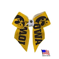 All Star Dogs Iowa Hawkeyes Pet Hair Bow