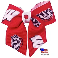 All Star Dogs Wisconsin Badgers Pet Hair Bow