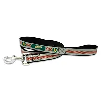 GameWear Oakland A&#039;s Pet Reflective Leash - Large