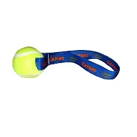 Hunter Florida Gators Tennis Ball Toss Toy