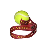 Hunter Florida State Seminoles Tennis Ball Toss Toy