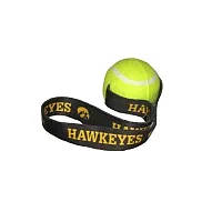 Hunter Iowa Hawkeyes Tennis Ball Toss Toy