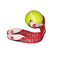 Hunter Ohio State Buckeyes Tennis Ball Toss Toy