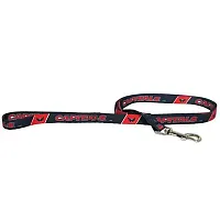 Hunter Washington Capitals Dog Leash