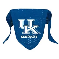 Hunter Kentucky Wildcats Mesh Dog Bandana - Small