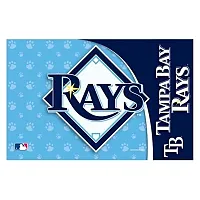 Hunter Tampa Bay Rays Pet Mat