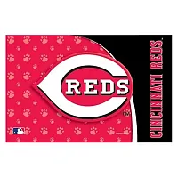 Hunter Cincinnati Reds Pet Mat