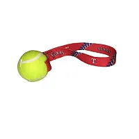 Hunter Texas Rangers Tennis Ball Toss Toy