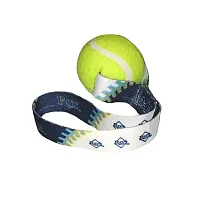 Hunter Tampa Bay Rays Tennis Ball Toss Toy