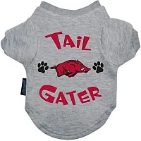 Hunter Arkansas Razorbacks Tail Gater Tee Shirt - Large