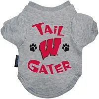 Hunter Wisconsin Badgers Tail Gater Tee Shirt - Large