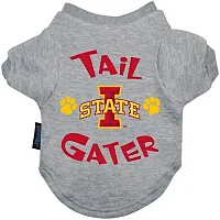 Hunter Iowa State Cyclones Tail Gater Tee Shirt - Large