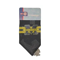 Hunter Michigan Wolverines Mesh Dog Bandana - Small