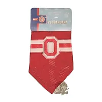 Hunter Ohio State Buckeyes Mesh Dog Bandana - Small