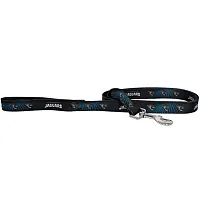Hunter Jacksonville Jaguars Pet Leash