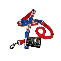 Hunter New York Rangers Bungee Ribbon Pet Leash